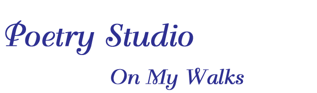 Poetry Studio... Writing poetry with children - On My Walks